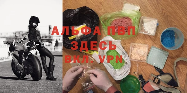 прущие крисы Новозыбков