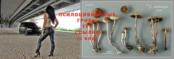 дмт Гусиноозёрск