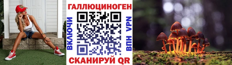 Псилоцибиновые грибы Cubensis  Купить  Артёмовский 